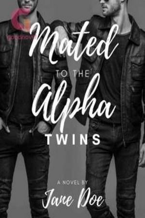 Mated to the Alpha Twins