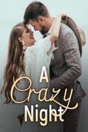 A Crazy Night Novel