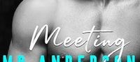 Meeting Mr Anderson (The Men Series Book 1)